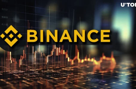 Binance Pulls out Reserve Assets Amid Crypto Market Crash?