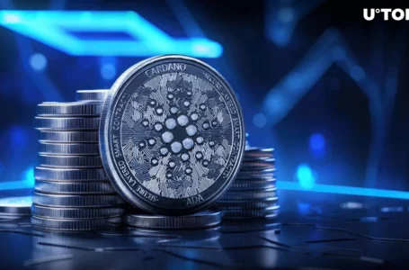 Cardano Foundation CEO Talks New Era for Cardano as ADA Evolves