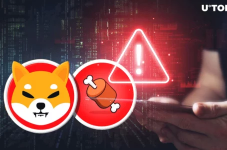 No BONE Airdrops: Shiba Inu (SHIB) Community Gets Critical Alert