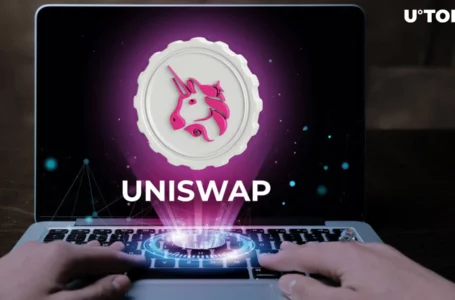 Uniswap Multichain Users Hits 3.2 Million, Here’s Price Reaction