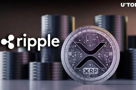 Ripple CLO Speaks out Against $2 Billion Penalty in XRP Case