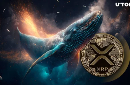 $13.7 Million in XRP Bought by Whales as Price Shows Bullish Signals
