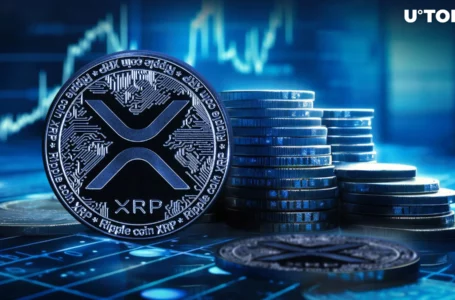 Over $20 Million in XRP Shifted to Mysterious Wallets: Details