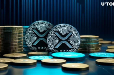 $10.6 Million in XRP Transferred From Major Exchange: Details