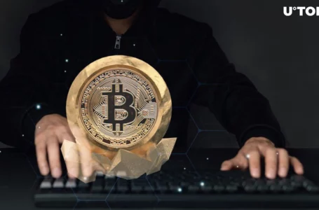 Bitcoin Creator Satoshi Nakamoto’s Final Act Before Vanishing Decoded