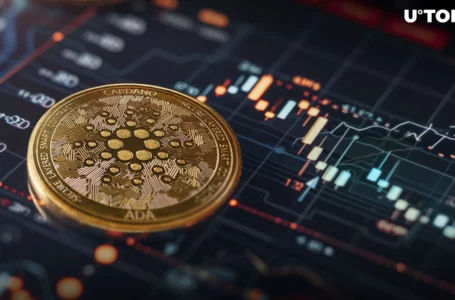 Will Cardano (ADA) Recover Back to $0.5?