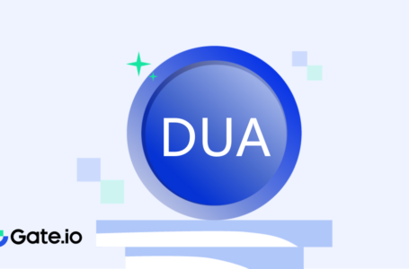 Brillion (DUA) Review: All To Know About