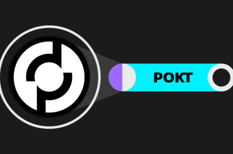 Pocket Network Review: All To Know About