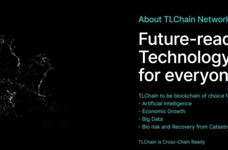 TLChain Coin Review: All To Know About