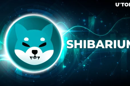 Shiba Inu Team Member Shares Crucial Shibarium Update: Details