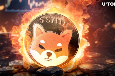 Shiba Inu Burn Rate Skyrockets by 64,201%, 657 Million SHIB Vanish