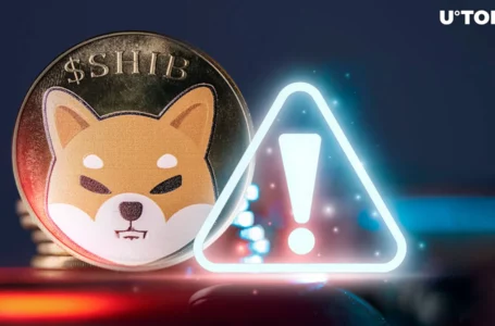 Crucial Warning to SHIB Army Made by Shiba Inu Team