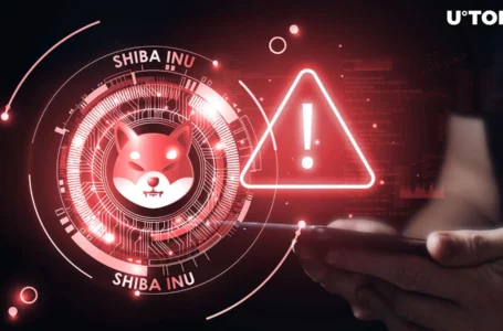 Shiba Inu (SHIB) Community Receives Critical Alert, What It Concerns