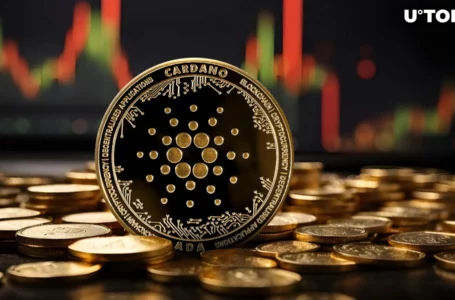 Key Cardano Contributor Exposes ADA’s Achilles Heel