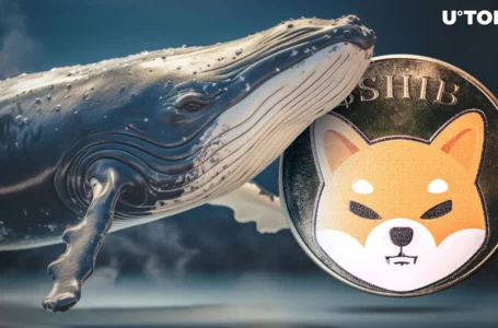 Rare Anomaly Breaks Shiba Inu (SHIB) Key Whale Metric