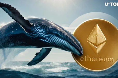 Ancient Ethereum Whale’s 5,000 ETH Sell-off stirs market