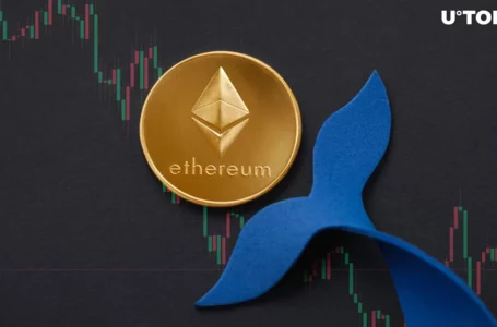 Ethereum (ETH) Price Crash: Whales Dive In as $3,000 Support Falters