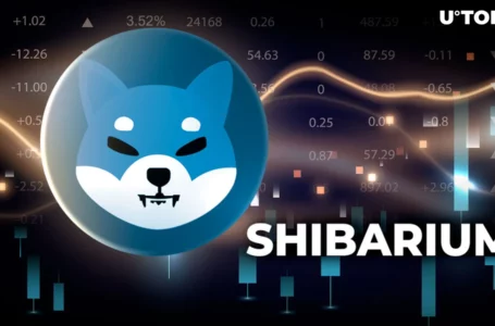 Shiba Inu’s Shibarium Witnesses Epic Key Metric Growth