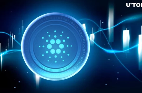 Cardano (ADA) Sees Epic 28,372% Inflow Surge; Where Will This Lead?