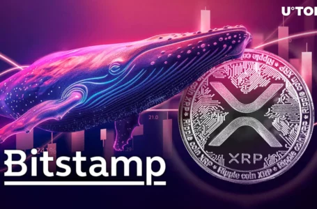 Mysterious Whale Sends Millions of XRP to Bitstamp, Stirring XRP Army