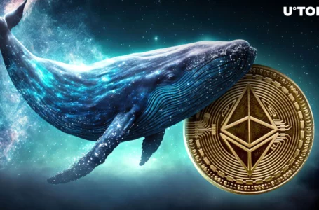 Ancient Ethereum Whale Dormant for Nine Years Suddenly Awakens