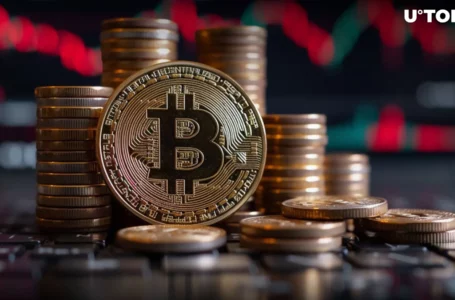 Bitcoin (BTC) Fees Hit 5-Year Low, Runes Impact Fading
