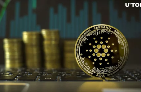 Cardano (ADA) Price Soars to Key Major Level at 50 Cents: What’s Next?