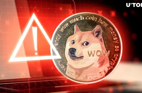 DOGE Army Issued Crucial Warning by Top Dogecoin Contributor