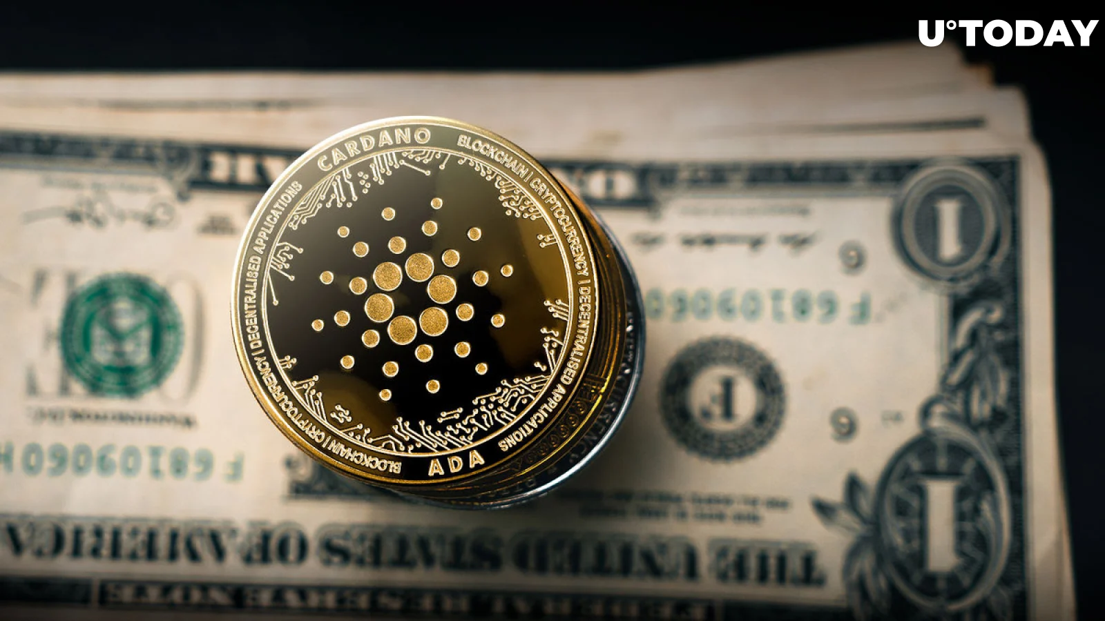 Cardano