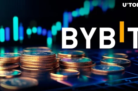 Bybit Marks Volume Growth, Expands Its Share in Crypto Trading