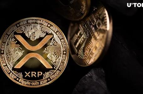 Key Myths About XRP’s AMMs Debunked by Anodos Co-Founder