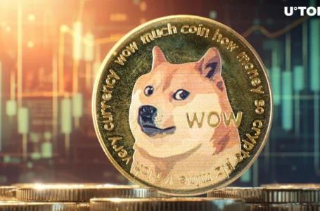Dogecoin (DOGE) Non-Empty Wallets Skyrocket by 13.8% in Months