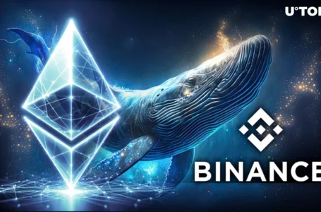 Binance Seeing Ethereum Whales Outflow: What’s Happening?