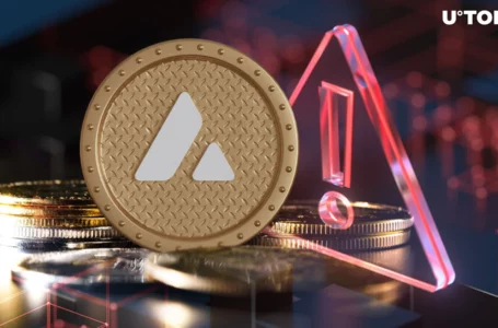 Avalanche Founder Shares Crucial Message With Crypto Innovators: Details