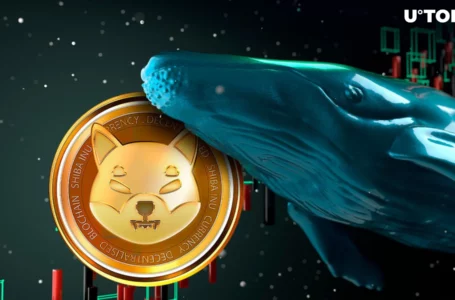 Shiba Inu Triggers 268% Surge in Whale Activity as Price Jumps