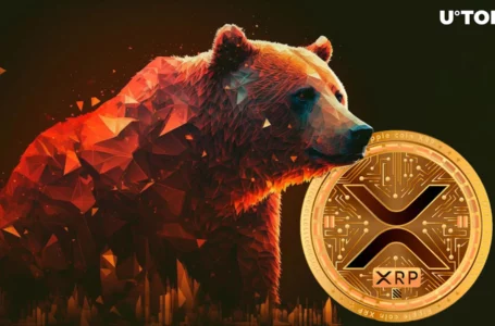 XRP Survives Surge in Bearish Pressure