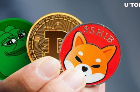 Shiba Inu (SHIB) Outshines DOGE and PEPE in This Key Metric