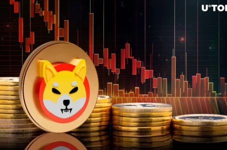 Shiba Inu: Here’s Who Caused 15% SHIB Price Slide