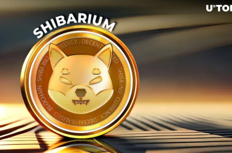 500% Spike in Shiba Inu Token Transaction Fees Shocks Shibarium