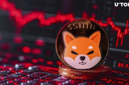 Is Shiba Inu (SHIB) on Verge of Catastrophe?