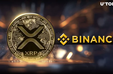 Over $21 Million in XRP Moved to Binance: Details