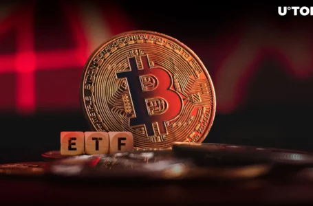 $500,000,000 Bitcoin ETF Outflows: Analysts Speak About ‘Worst Day by Far’