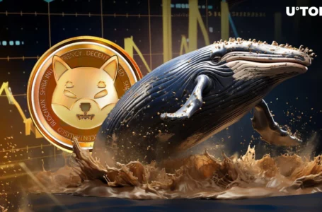 Shiba Inu Whale Transactions Skyrocket 165% to 6.18 Trillion SHIB in 24 Hours