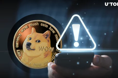 Dogecoin (DOGE) Urgent Information Issued, What It Pertains To