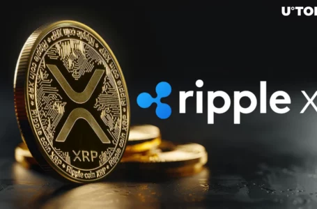 XRP Receives Crucial Adoption Boost With New RippleX Feature