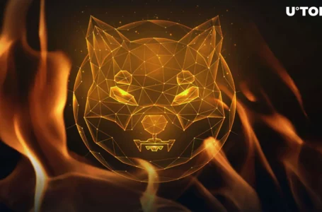 Shiba Inu (SHIB) Key Burn Mystery Unraveled by Team Insider: Details