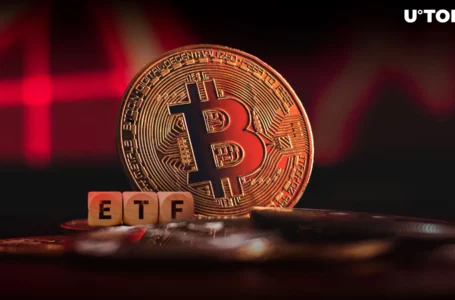 Inflows vs Outflows: Will Bitcoin ETFs Lose Momentum?