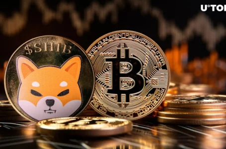 Shiba Inu Insider Issues Wake-up Call on SHIB, BTC