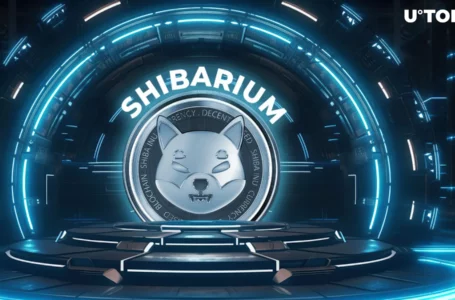 Shiba Inu’s Shibarium Skyrockets 1,733% in Key On-Chain Metric