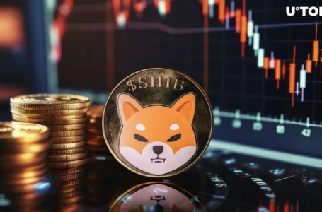 Shiba Inu (SHIB) Price Breakthrough Failed: What’s Next?